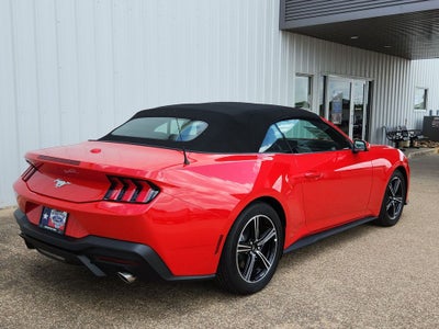 2025 Ford Mustang EcoBoost