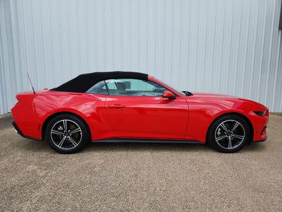 2025 Ford Mustang EcoBoost