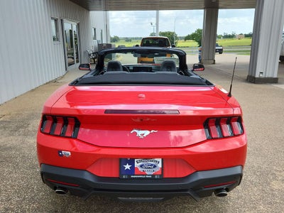 2025 Ford Mustang EcoBoost