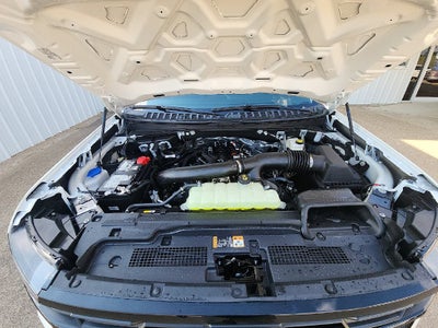 2027 Ford Expedition Active